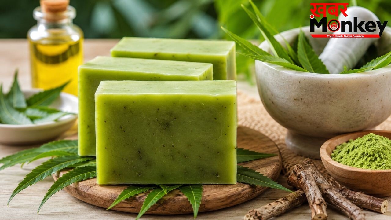 घर पर ऐसे बनाएं नीम का साबुन, स्किन से लेकर सफाई तक कई कामों में आएगा काम