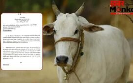 ‘गायों के लिए भूसा दान करें टीचर, नहीं तो…’ बरेली के सरकारी स्कूलों को सरकारी फरमान; विभाग का लेटर वायरल