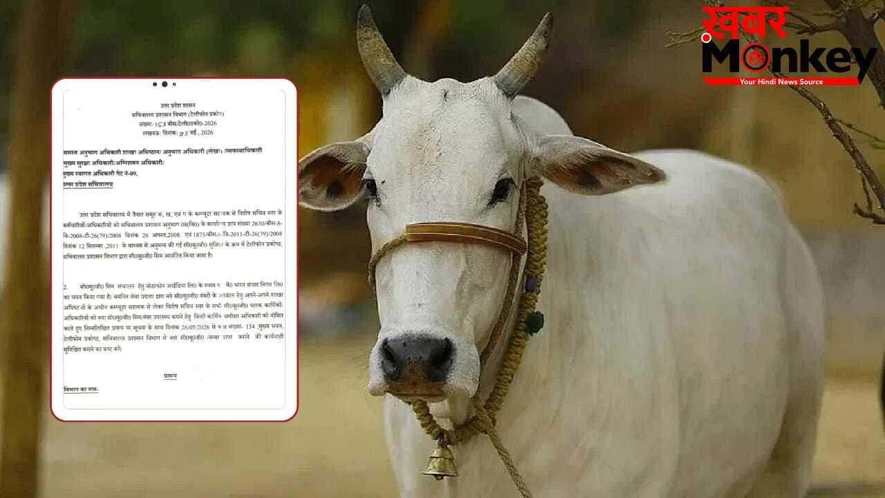 ‘गायों के लिए भूसा दान करें टीचर, नहीं तो…’ बरेली के सरकारी स्कूलों को सरकारी फरमान; विभाग का लेटर वायरल
