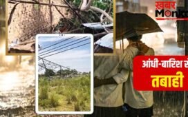 कहीं पेड़ गिरे तो कहीं उड़ गए आशियाने…UP में आंधी-बारिश का कहर, 31 मौतें; चित्रकूट में 500 तोतों की भी गई जान