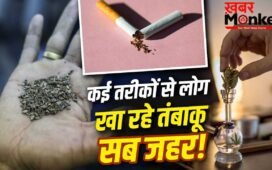 No Tobacco Day 2026: खैनी चबाने से पीने तक…इतने तरीकों से लोग कर रहे तंबाकू का सेवन, हर तरीका खतरनाक