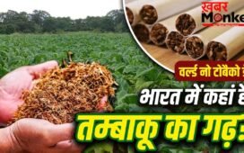 World No Tobacco Day: न यूपी, न आंध्र प्रदेश, कौन सा राज्य देश को सबसे ज्यादा तम्बाकू देता है? अमेरिका-UAE तक डिमांड