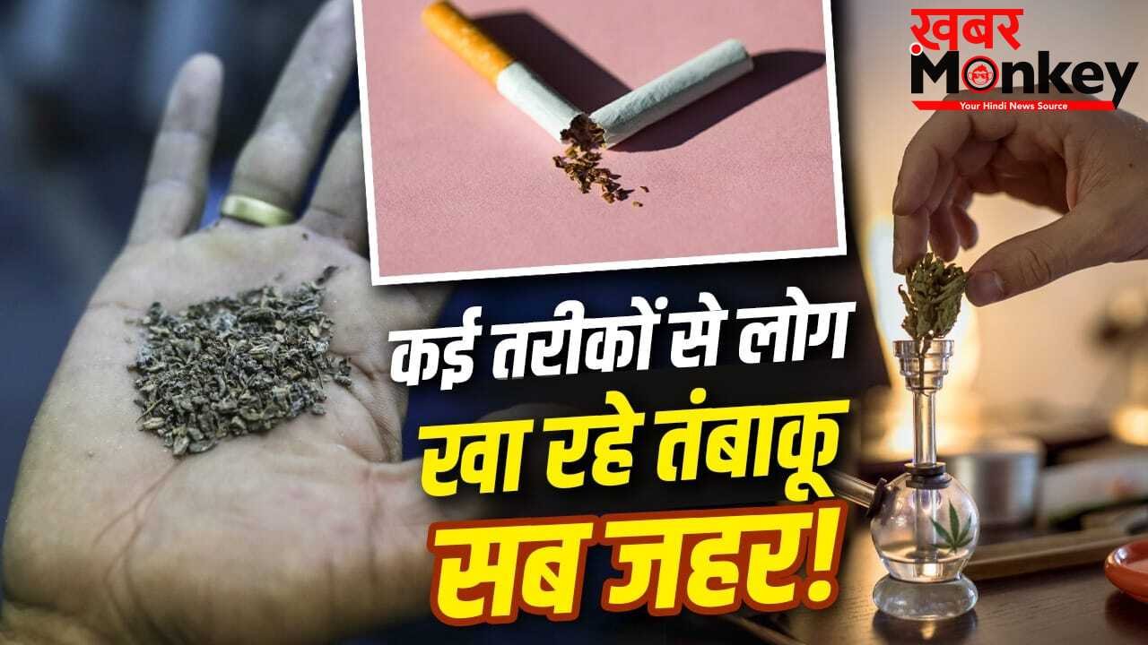No Tobacco Day 2026: खैनी चबाने से पीने तक…इतने तरीकों से लोग कर रहे तंबाकू का सेवन, हर तरीका खतरनाक