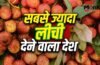 Litchi: कौन सा देश है लीची का सबसे बड़ा गढ़? भारत पहले नम्बर पर नहीं Litchi: कौन सा देश है लीची का सबसे बड़ा गढ़? भारत पहले नम्बर पर नहीं