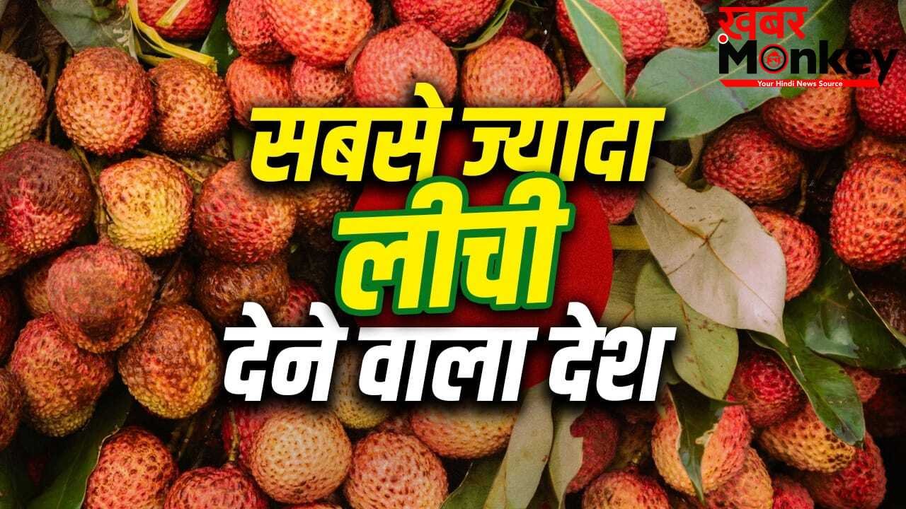 Litchi: कौन सा देश है लीची का सबसे बड़ा गढ़? भारत पहले नम्बर पर नहीं