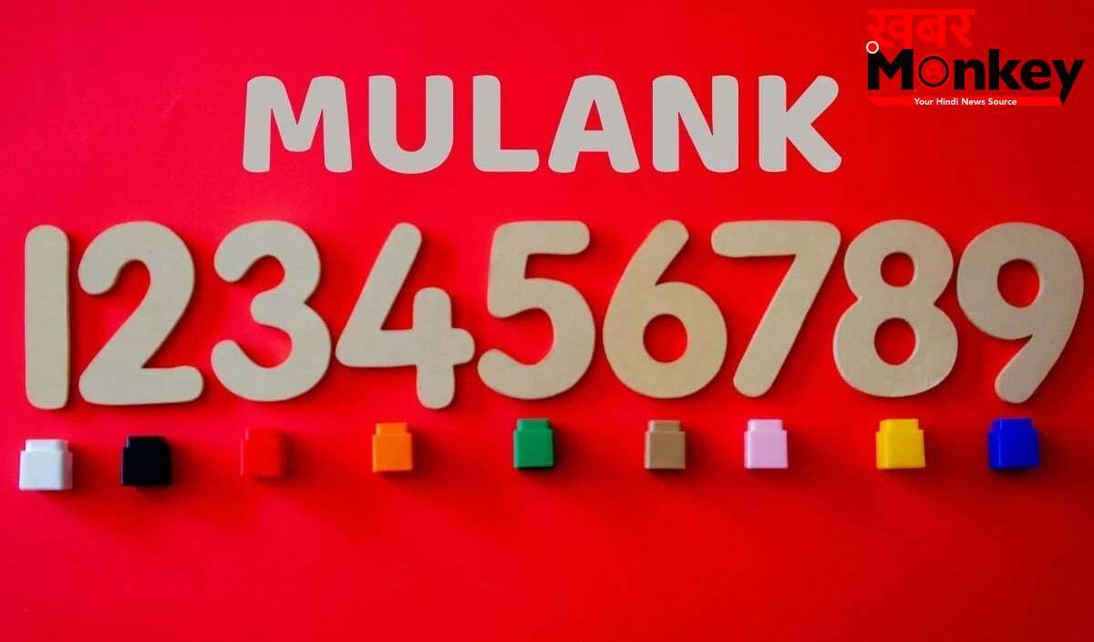 Numerology 11 May: किन मूलांक वालों को मिलेगा Money और बंपर Success? जन्मतिथि से जानें अपना भविष्यफल