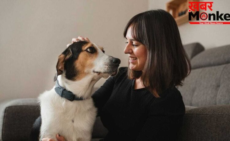 Pet Dog Care: पालतू डॉग को भी रहता है अर्थराइटिस का खतरा! ऐसे करें बचाव
