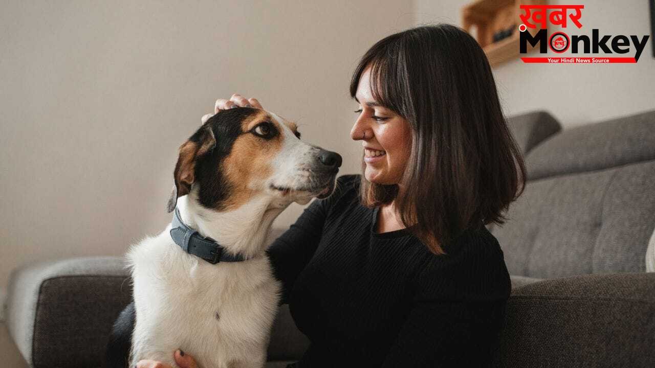 Pet Dog Care: पालतू डॉग को भी रहता है अर्थराइटिस का खतरा! ऐसे करें बचाव