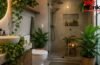 Bathroom की कम रोशनी और नमी में भी हरे-भरे रहेंगे ये पौधे, कम देखभाल में घर को मिलेगा लग्जरी लुक