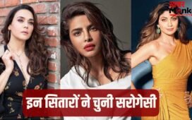संभावना सेठ ही नहीं, प्रीति जिंटा से प्रियंका चोपड़ा तक, ये 5 एक्ट्रेस भी सेरोगेसी से बनी हैं मां