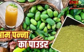 Aam Panna Powder Recipe: हर मौसम में पी पाएंगे आम पन्ना, घर पर इस तरह बनाएं इसका प्री-मिक्स मसाला