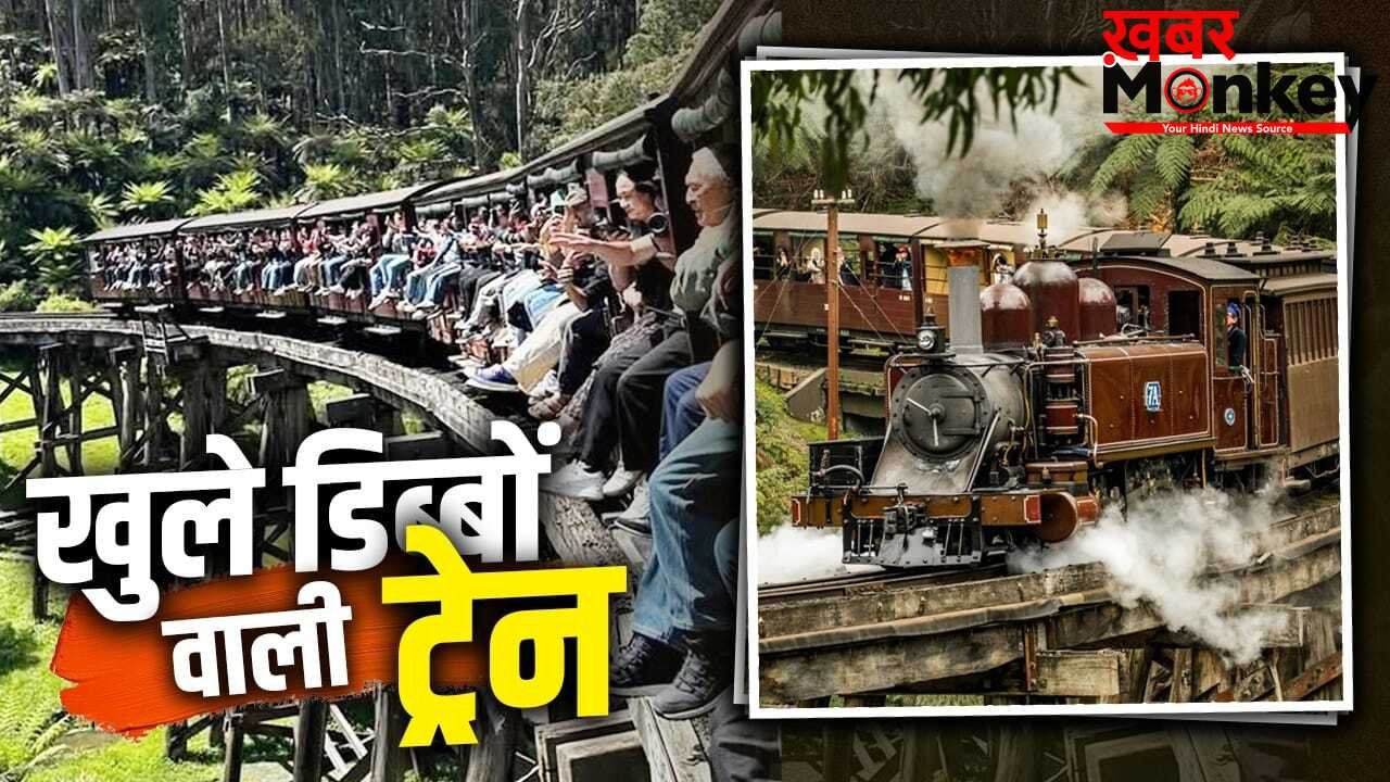 Puffing Billy Railway: ट्रेन के खुले होते हैं डिब्बे..खिड़की से हाथ-पैर रहते हैं बाहर, रेल की अनोखी एडवेंचर जर्नी