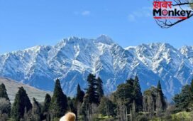 Travel Destination: सुबह गर्मी, शाम बर्फबारी! इन 5 जगहों पर एक दिन में बदलते हैं 4 मौसम