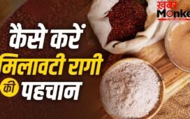 Ragi Adulteration: हेल्दी समझकर खा रहे हैं रागी, इसमें भी होती है मिलावट, ऐसे पहचानें