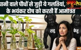 Water Plants Vastu: घर में लगा रखे हैं पानी वाले पौधे तो कभी न करें ये 5 गलतियां, नहीं तो राहु-केतु कर देंगे बर्बाद