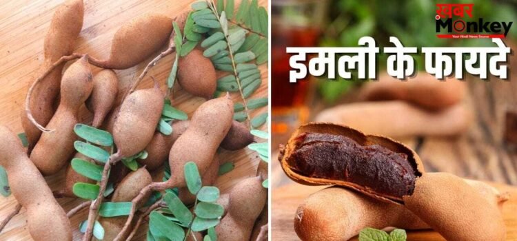 कच्ची से पकी इमली तक…इसे खाने से मिलते हैं शरीर को ढेरों अलग-अलग फायदे