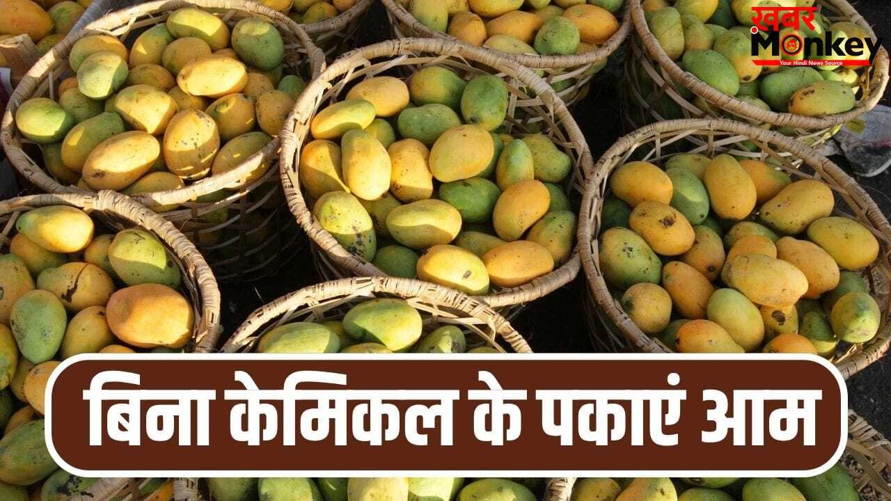 घर पर बिना केमिकल के पका सकते हैं आम, बस आजमाएं ये पुराने तरीके