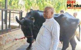 50 लाख कीमत, 50 हजार महीने की कमाई… यूपी की इस भैंस ने मचा दिया बवाल