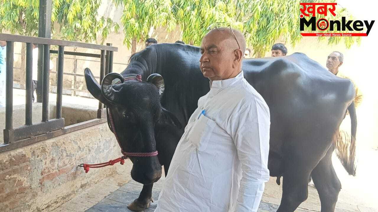 50 लाख कीमत, 50 हजार महीने की कमाई… यूपी की इस भैंस ने मचा दिया बवाल