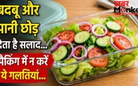 सलाद को टिफिन में पैक करते समय न करें ये गलतियां, जल्दी हो सकता है खराब