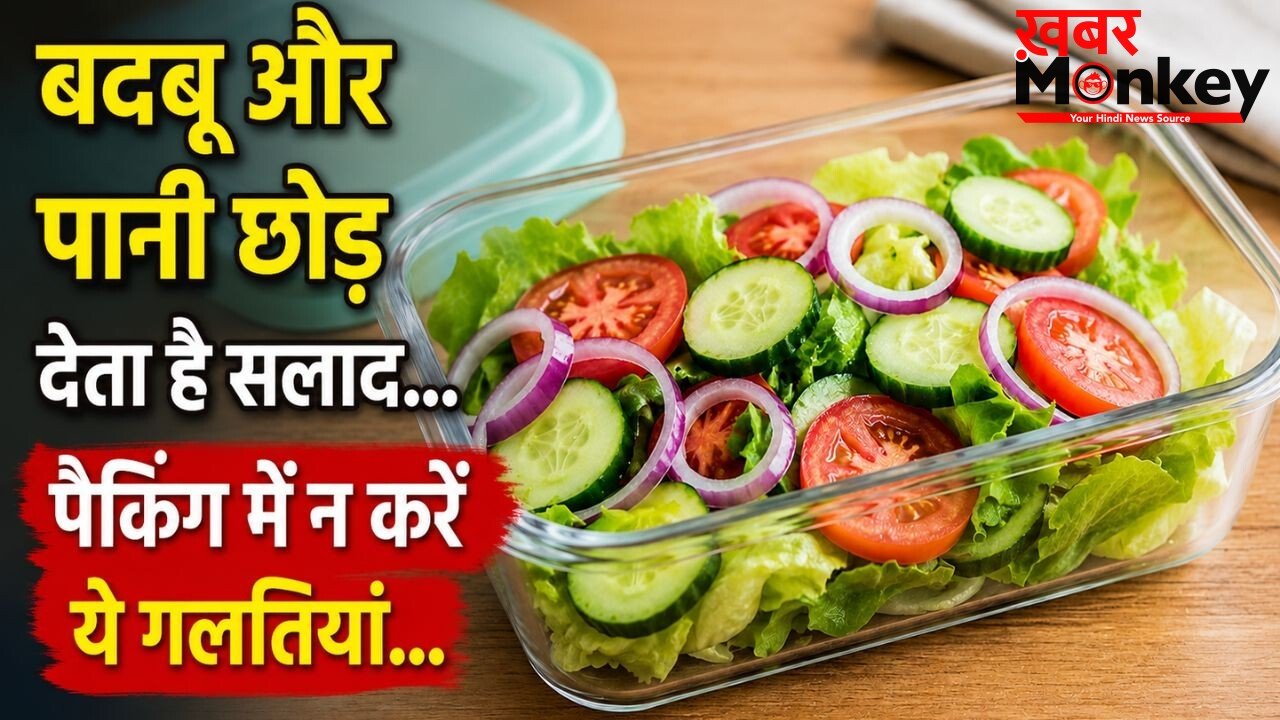 सलाद को टिफिन में पैक करते समय न करें ये गलतियां, जल्दी हो सकता है खराब