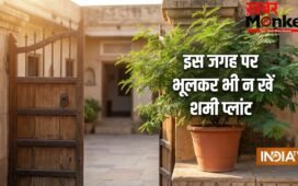 Shami Plant Vastu: घर पर यहां गलती से भी न लगाएं शमी का पौधा, पैसा आने की बजाय छा सकती है कंगाली!
