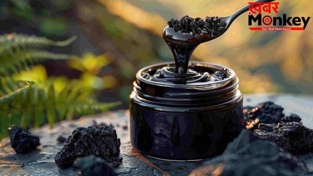 शिलाजीत से कर सकते हैं लाखों की कमाई, कहां से निकलता है ये ‘काला सोना’?