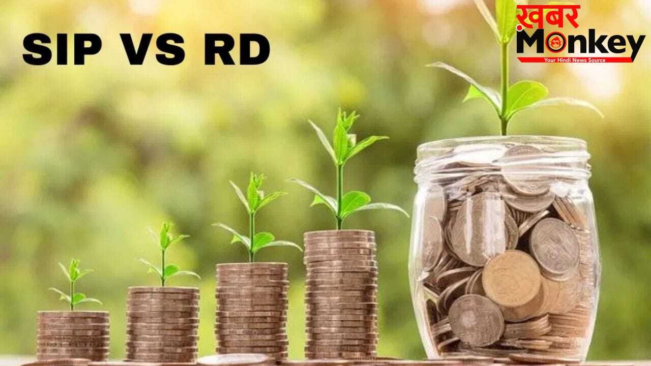 RD Vs SIP: 10 हजार रुपये मंथली जमा करके, कहां बनेगा सबसे ज्यादा फंड