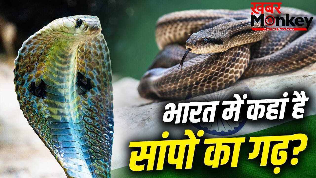 Snake Village: न कर्नाटक, न तमिलनाडु, भारत में कहां है सांपों का गांव?