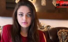 ‘कॉलेज लाइफ छिन गई…’, सलमान खान संग डेब्यू के सालों बाद छलका स्नेहा उल्लाल का दर्द, कभी हुई थी ऐश्वर्या राय से तुलना