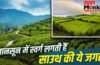 मानसून में जन्नत बन जाती हैं दक्षिण भारत की ये जगहें, अभी से कर लें ट्रिप की प्लानिंग