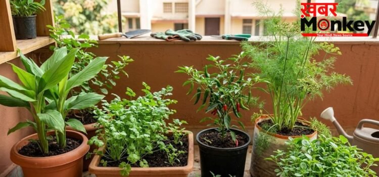 किचन गार्डन में आसानी से उगा सकते हैं ये 5 मसाले, गमले में लगाने से पहले जान लें सही तरीका