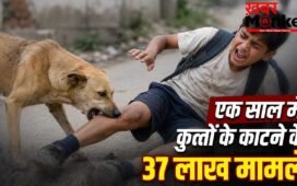 Stray Dogs Case Verdict: न UP, न गुजरात, किस राज्य में कुत्तों के काटने के सबसे ज्यादा मामले? SC ने सुनाया फैसला