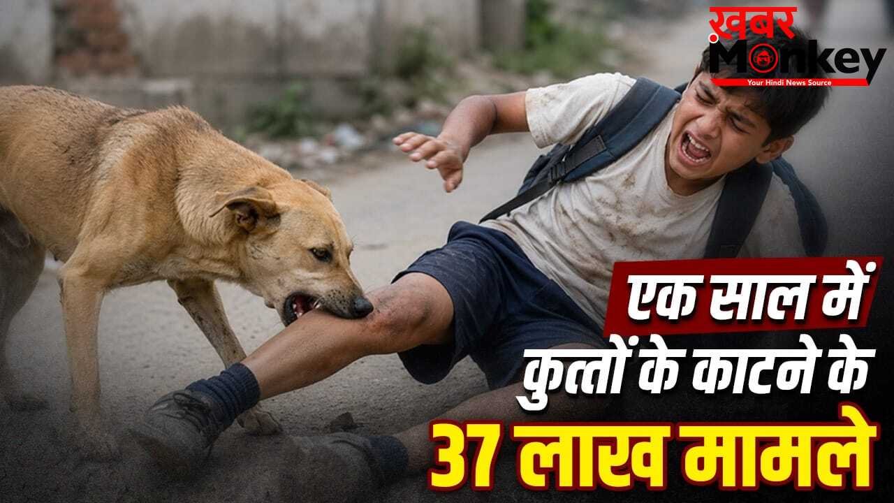 Stray Dogs Case Verdict: न UP, न गुजरात, किस राज्य में कुत्तों के काटने के सबसे ज्यादा मामले? SC ने सुनाया फैसला