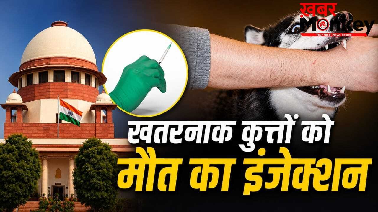 आवारा कुत्तों के मामलों की सुनवाई में आर्टिकल-21 का जिक्र क्यों? पूरे मामले में कब-क्या हुआ, यहां समझें