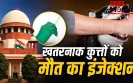 सुप्रीम कोर्ट: आवारा कुत्तों के मामलों की सुनवाई में आर्टिकल-21 का जिक्र क्यों? पूरे मामले में कब-क्या हुआ, यहां समझें