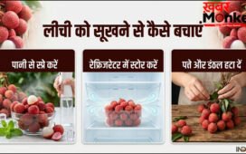 लीची को बिना फ्रिज के घर में सूखने से कैसे बचाएं और बाहर रखी लीची कितने दिन चल सकती हैं?
