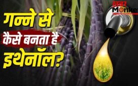 Ethanol: गन्ने से कैसे तैयार होता है इथेनॉल? पेट्रोल इसे 30 फीसदी तक मिलाने की तैयारी