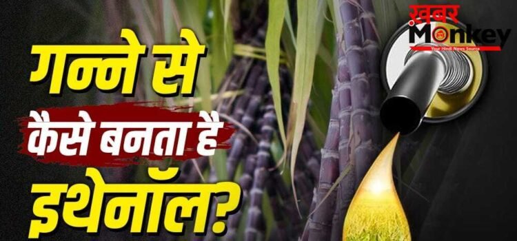 Ethanol: गन्ने से कैसे तैयार होता है इथेनॉल? पेट्रोल इसे 30 फीसदी तक मिलाने की तैयारी