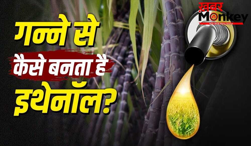 Ethanol: गन्ने से कैसे तैयार होता है इथेनॉल? पेट्रोल इसे 30 फीसदी तक मिलाने की तैयारी
