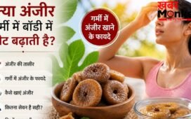 क्या गर्मी में अंजीर खाना सेफ है? डॉक्टर की सलाह- सीधे खाने की जगह अपनाएं ये ट्रिक, पाचन भी रहेगा दुरुस्त