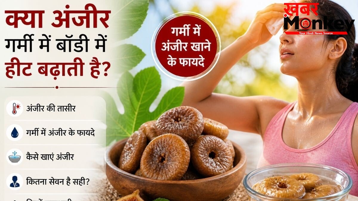 क्या गर्मी में अंजीर खाना सेफ है? डॉक्टर की सलाह- सीधे खाने की जगह अपनाएं ये ट्रिक, पाचन भी रहेगा दुरुस्त