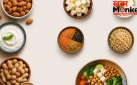 Vegetarian Protein: क्या वाकई ये 6 शाकाहारी फूड्स कर सकते हैं प्रोटीन पाउडर की छुट्टी? डॉक्टर ने कहा Protein Powder का बेहतरीन विकल्प हैं ये फूड