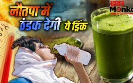 Nautapa Drink: नौतपा का कहर ! रोजाना पिएं जड़ी बूटी से बनी ये ड्रिंक, शरीर को रखेगी ठंडा