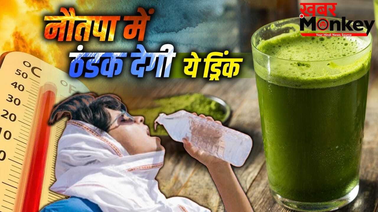 Nautapa Drink: नौतपा का कहर ! रोजाना पिएं जड़ी बूटी से बनी ये ड्रिंक, शरीर को रखेगी ठंडा