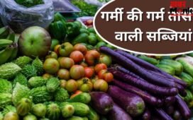 गर्मियों की ये सब्जियां बढ़ा सकती हैं शरीर में गर्मी, ज्यादा खाने की न करें गलती