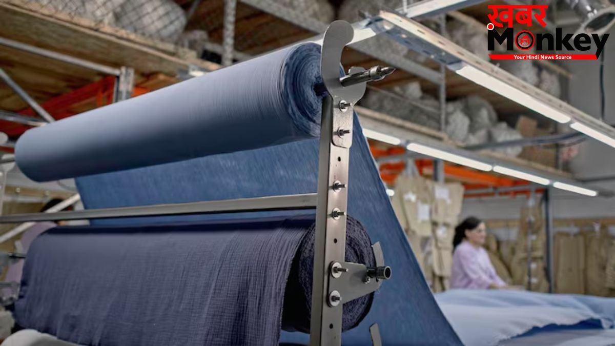 कॉटन पर Import Duty नहीं लगना कितनी बड़ी राहत? कारोबारियों और आम लोगों को क्या होगा फायदा