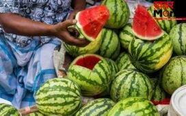 Watermelon Capital of India: ये है वाटरमेलन कैपिटल ऑफ इंडिया, यहां इस तरह पहुंचे, जानें हर डिटेल