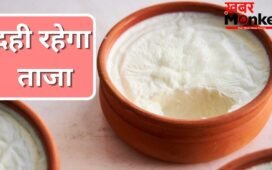 2 दिन बाद भी दही नहीं होगा खट्टा, बस फॉलो कर लें ये आसान से तरीके