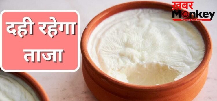 2 दिन बाद भी दही नहीं होगा खट्टा, बस फॉलो कर लें ये आसान से तरीके